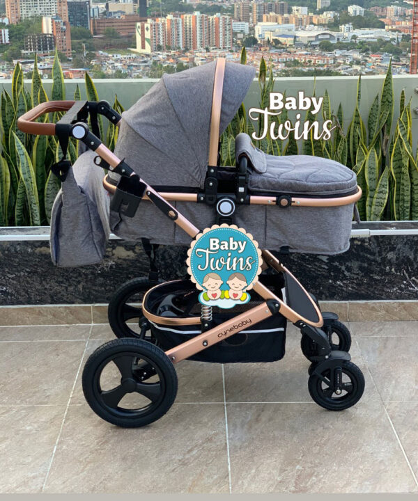 Cynebaby moises redondo solo coche gris