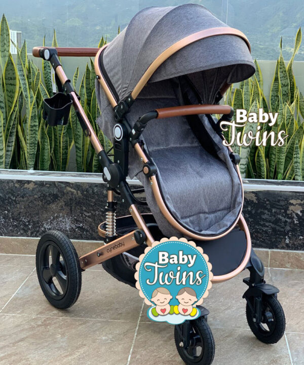 Cynebaby moises redondo solo coche gris