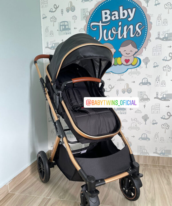 Dante Cynebaby Moises solo coche negro