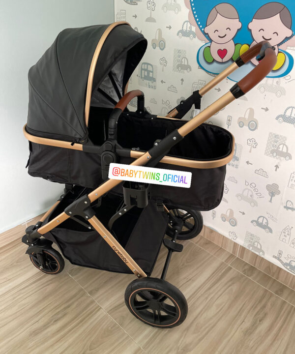 Dante Cynebaby Moises solo coche negro