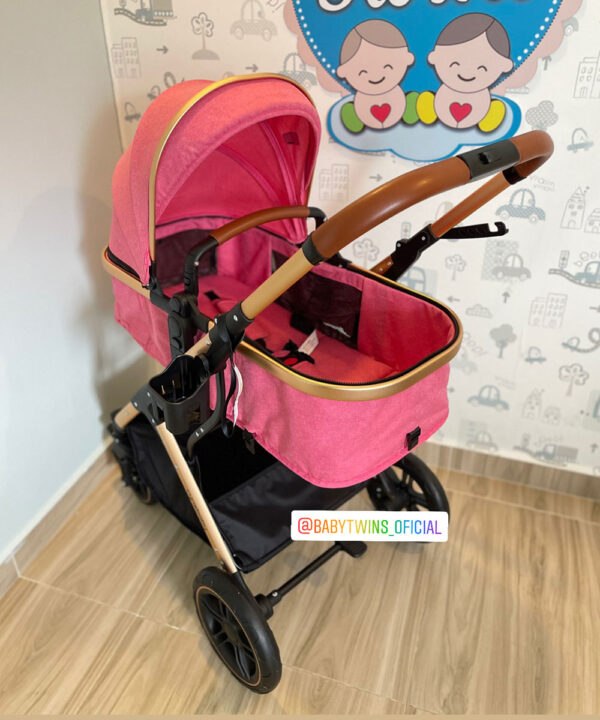 Dante Cynebaby Moises solo coche rosado