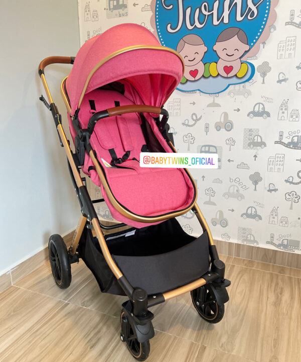 Dante Cynebaby Moises solo coche rosado