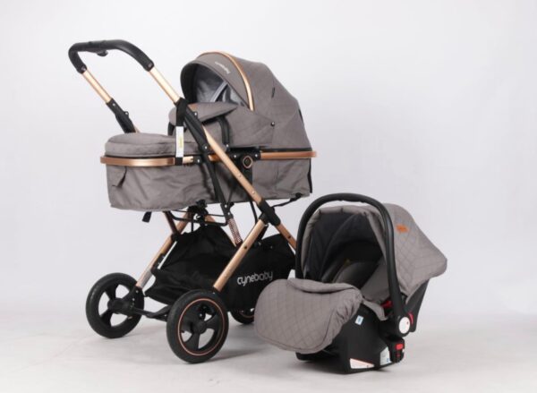 Coche Moises con silla del Carro Gris Cynebaby