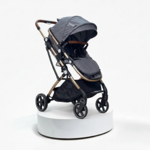 Coche Moises Small Maxibaby Gris