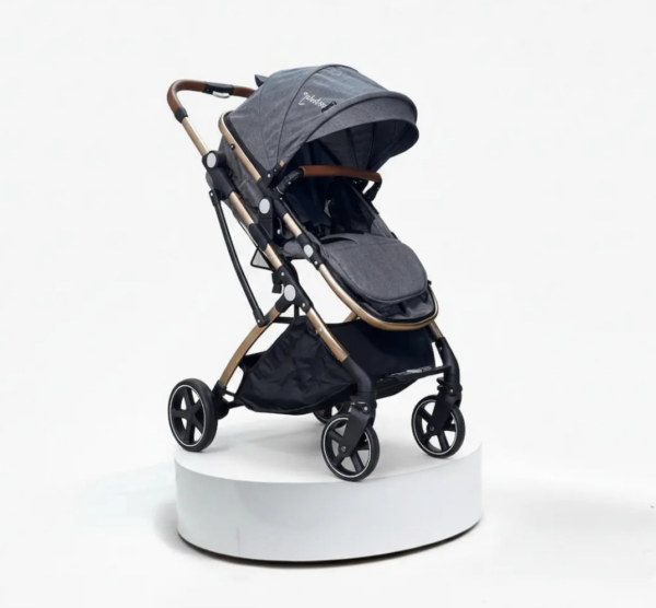Coche Moises Small Maxibaby Gris