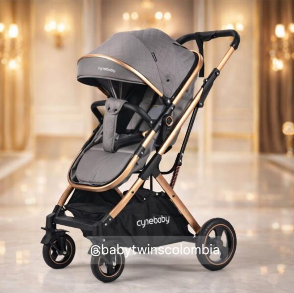 Coche Moises con silla del Carro Gris Cynebaby