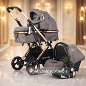 Coche Moises con silla del Carro Gris Cynebaby