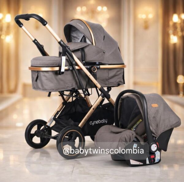 Coche Moises con silla del Carro Gris Cynebaby