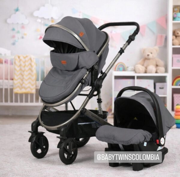 Coche Moises con silla del Carro Gris Cynebaby Redondo