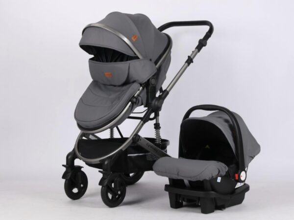 Coche Moises con silla del Carro Gris Cynebaby Redondo